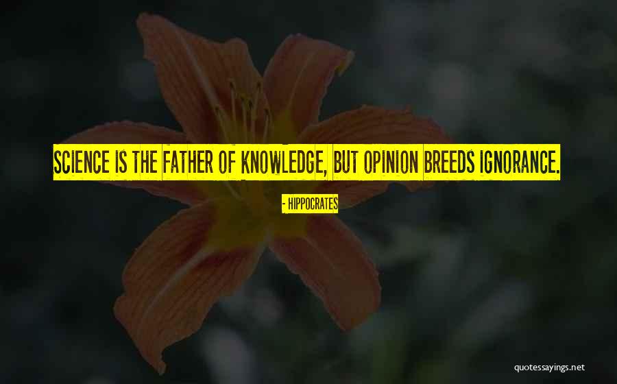 Kiefers Lutz Florida Quotes By Hippocrates Kiefers Lutz Florida Quotes By Hippocrates