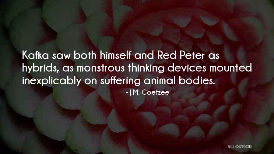 Kienast Quintuplets Quotes By J.M. Coetzee Kienast Quintuplets Quotes By J.M. Coetzee
