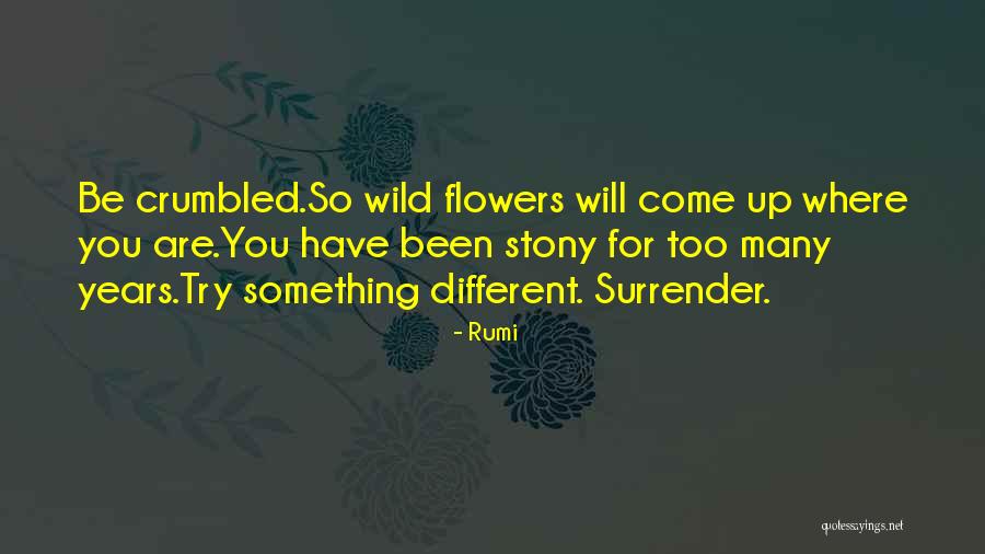 Kieninger And Obergfell Quotes By Rumi Kieninger And Obergfell Quotes By Rumi