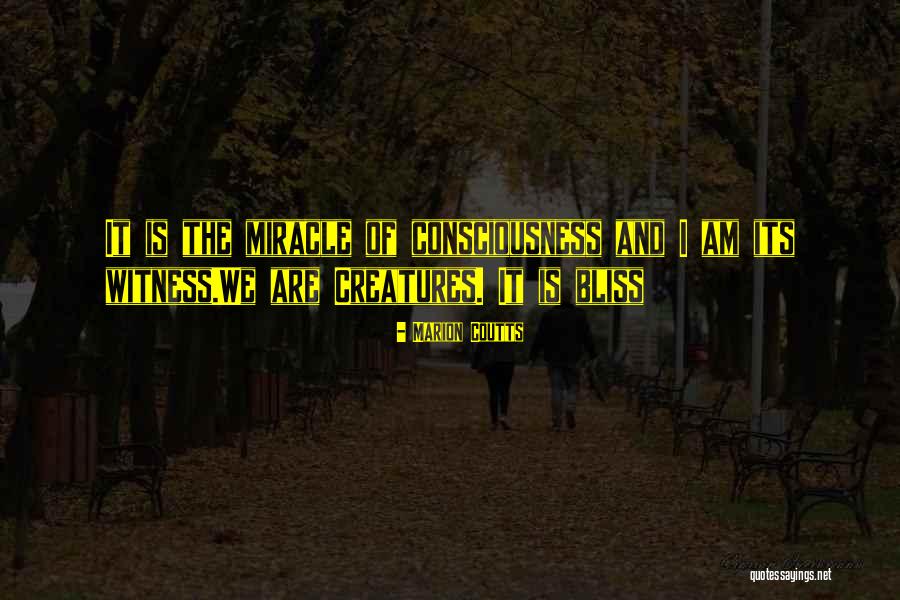 Kierstin Bautista Quotes By Marion Coutts