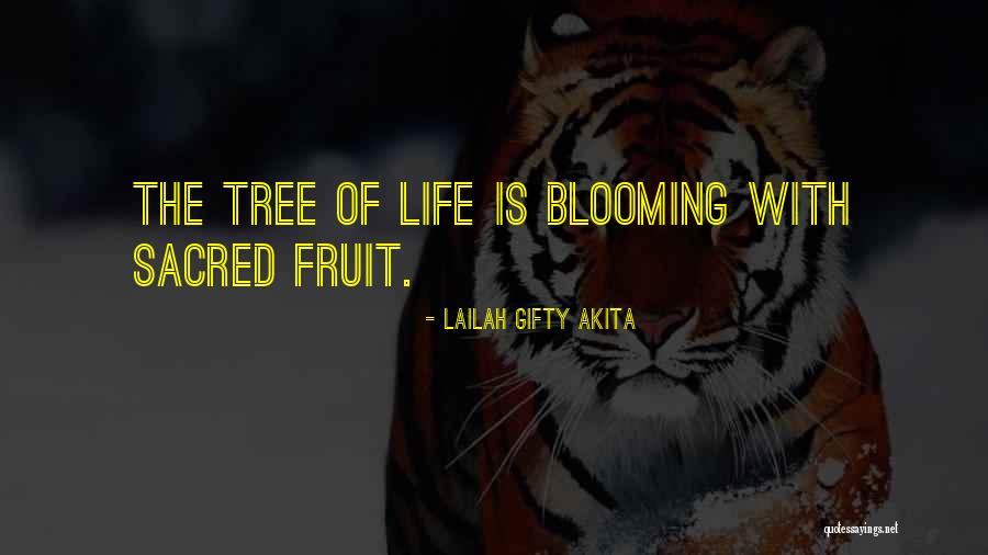 Kiesewetter Quotes By Lailah Gifty Akita Kiesewetter Quotes By Lailah Gifty Akita