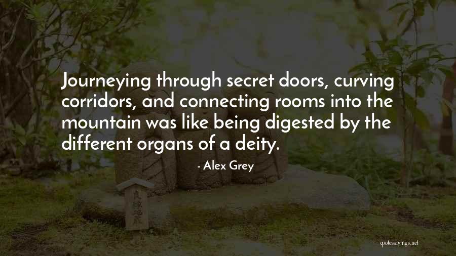 Kiessig Fringes Quotes By Alex Grey Kiessig Fringes Quotes By Alex Grey