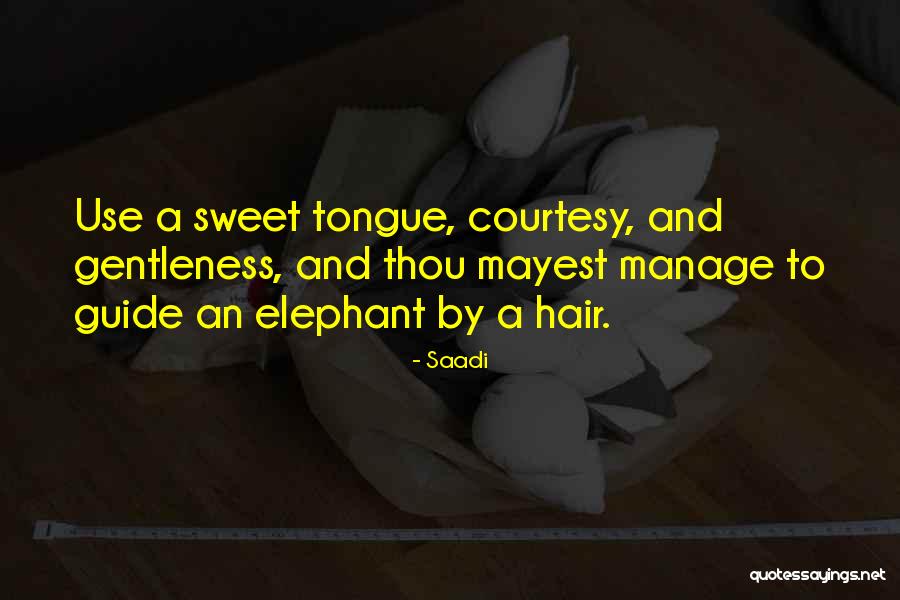 Kietzman Fired Quotes By Saadi Kietzman Fired Quotes By Saadi