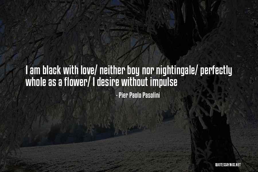 Kife Quotes By Pier Paolo Pasolini Kife Quotes By Pier Paolo Pasolini