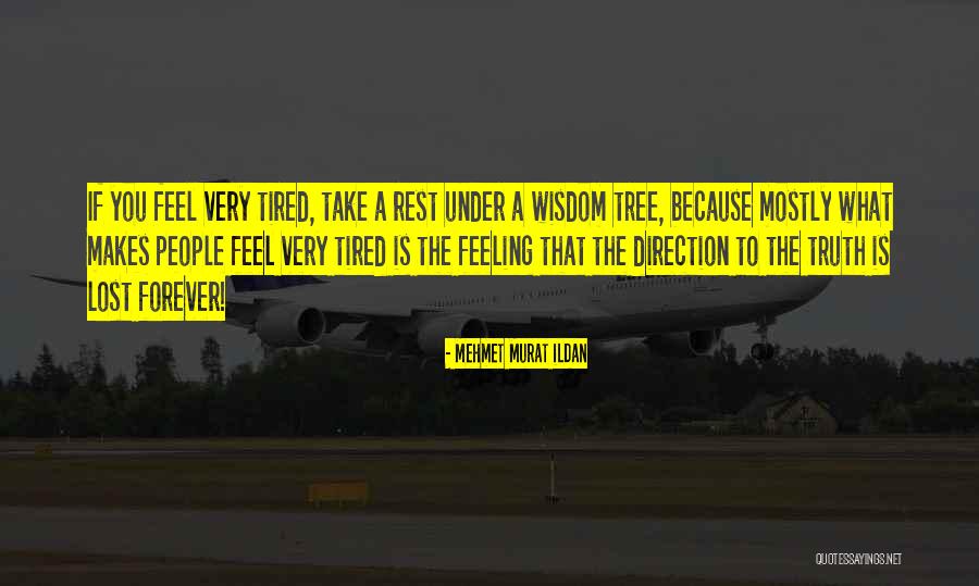 Kiffer Quotes By Mehmet Murat Ildan Kiffer Quotes By Mehmet Murat Ildan