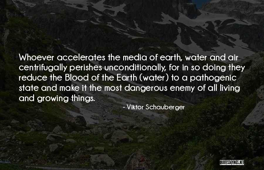 Kiichi Nakai Quotes By Viktor Schauberger Kiichi Nakai Quotes By Viktor Schauberger