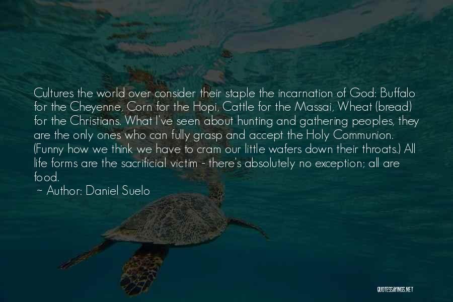 Kiinniketalo Quotes By Daniel Suelo