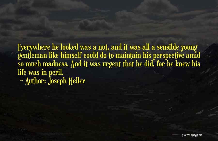 Kikabidze Vakhtang Quotes By Joseph Heller