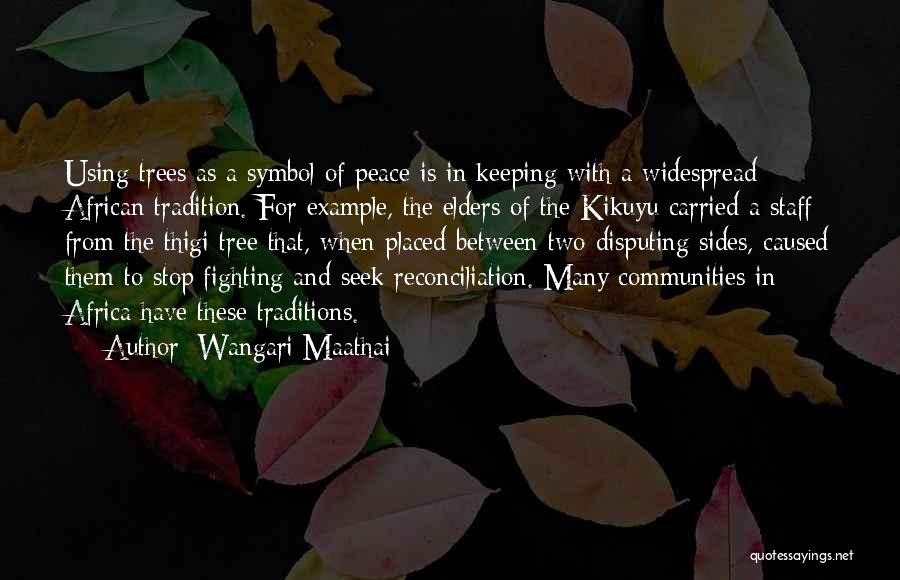 Kikuyu Quotes By Wangari Maathai