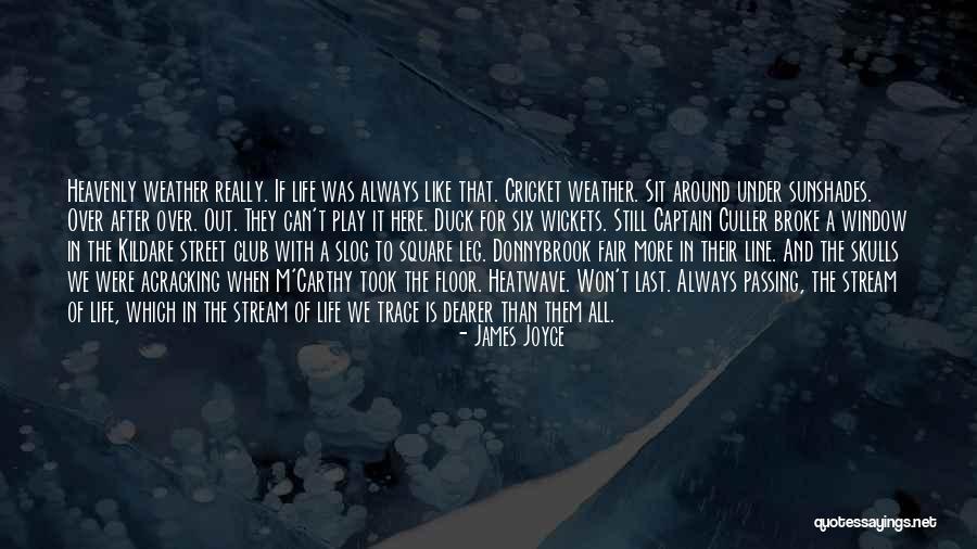 Kildare Quotes By James Joyce Kildare Quotes By James Joyce