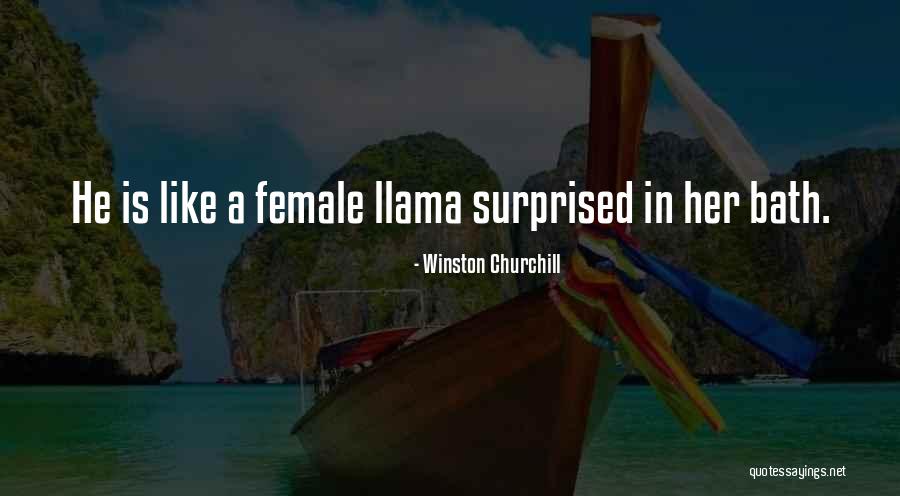 Kildare Quotes By Winston Churchill Kildare Quotes By Winston Churchill