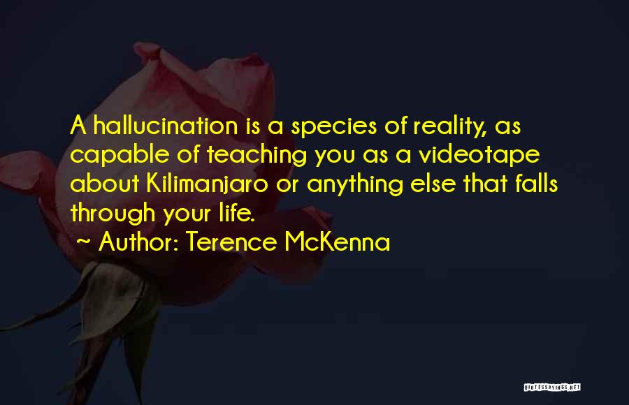 Kilimanjaro Quotes By Terence McKenna