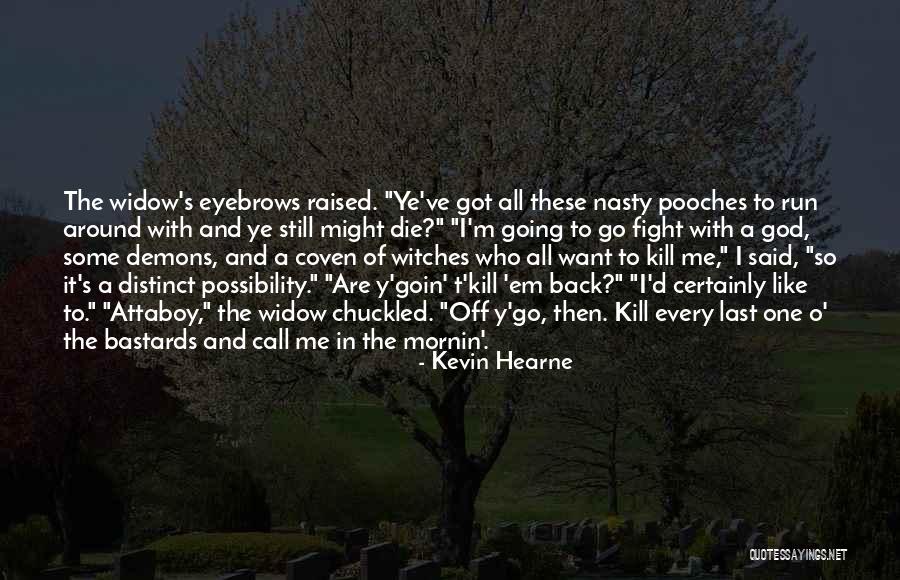 Kill Em All Quotes By Kevin Hearne