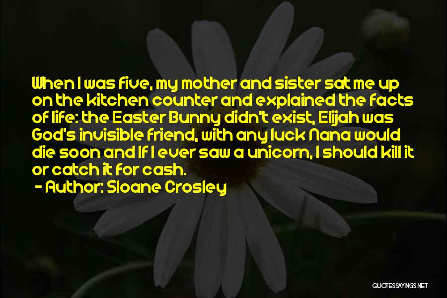 Kill Me God Quotes By Sloane Crosley