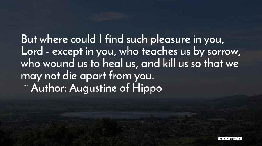 Kill Me Heal Quotes By Augustine Of Hippo