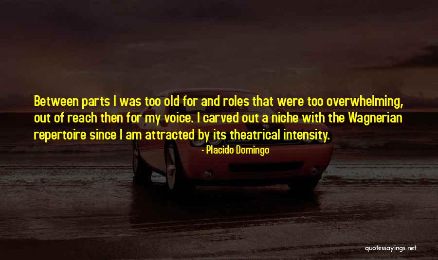 Killackey Danbury Quotes By Placido Domingo Killackey Danbury Quotes By Placido Domingo