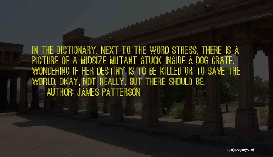 Killed Inside Quotes By James Patterson