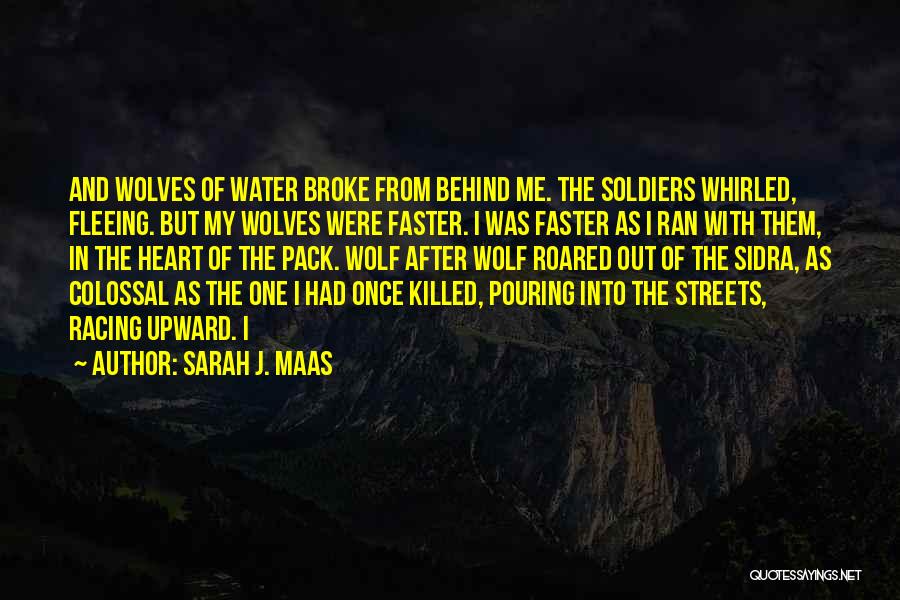 Killed Soldiers Quotes By Sarah J. Maas