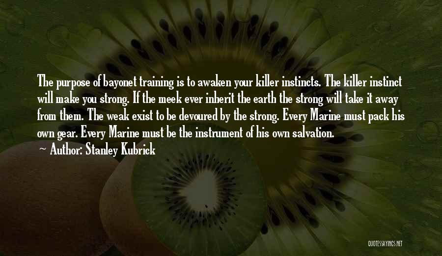 Killer Instinct Quotes By Stanley Kubrick