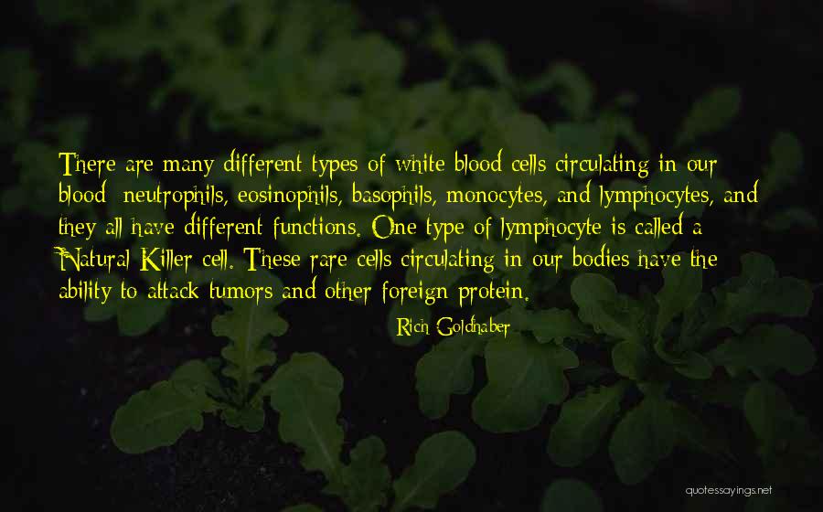 Killer T Cells Quotes By Rich Goldhaber Killer T Cells Quotes By Rich Goldhaber
