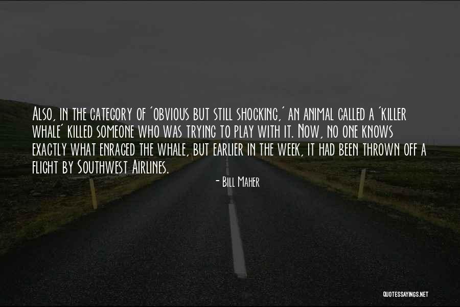 Killer Whale Quotes By Bill Maher Killer Whale Quotes By Bill Maher