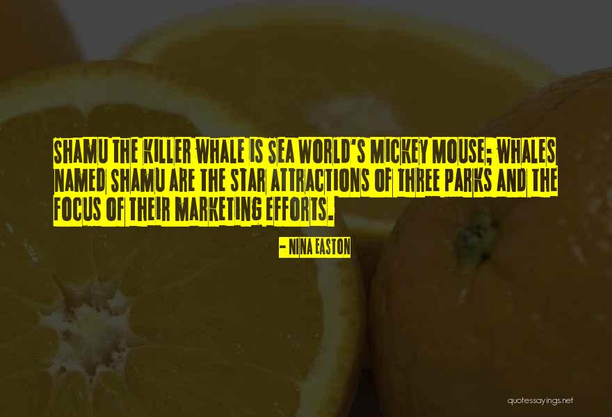Killer Whale Quotes By Nina Easton Killer Whale Quotes By Nina Easton