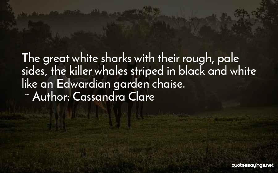 Killer Whales Quotes By Cassandra Clare