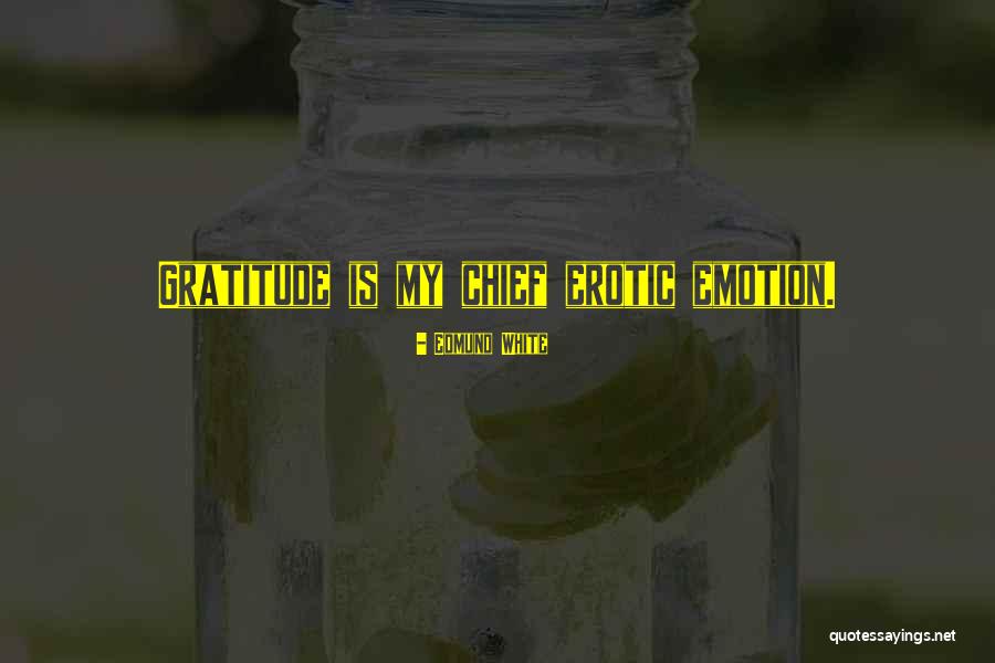 Killifish Tank Quotes By Edmund White Killifish Tank Quotes By Edmund White