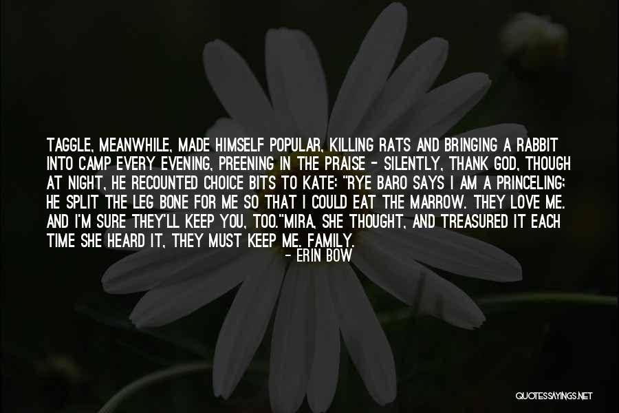 Killing Animals Quotes By Erin Bow