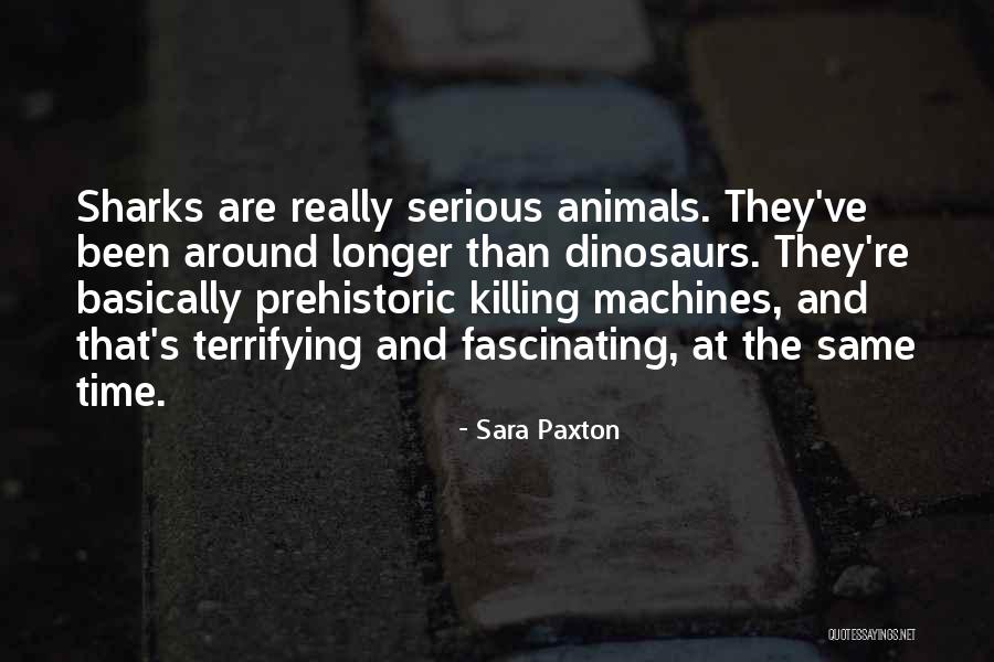 Killing Animals Quotes By Sara Paxton