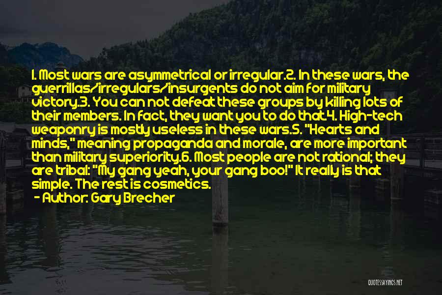 Killing In War Quotes By Gary Brecher