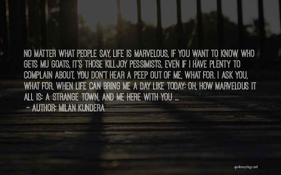 Killjoy 3 Quotes By Milan Kundera