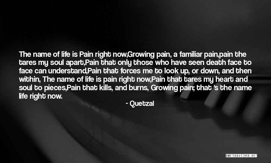 Kills Life Quotes By Quetzal Kills Life Quotes By Quetzal