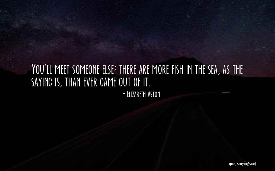 Kiloran Star Quotes By Elizabeth Aston Kiloran Star Quotes By Elizabeth Aston