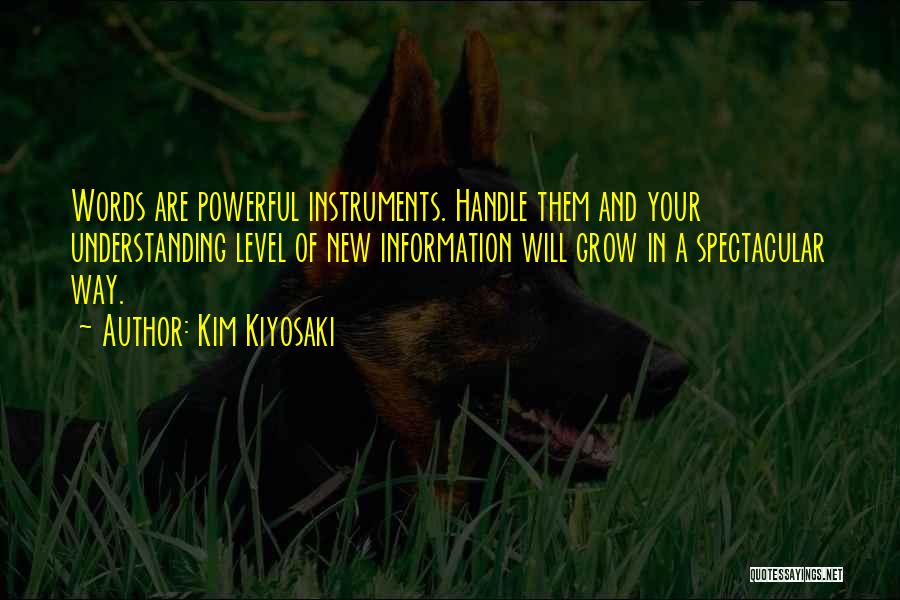 Kim Kiyosaki Quotes 1377248