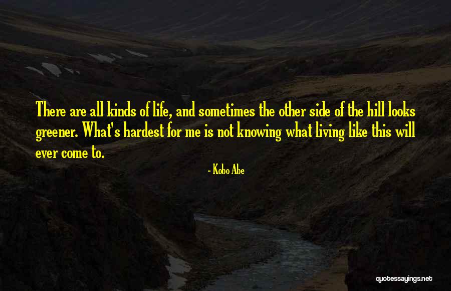 Kimber Firearms Quotes By Kobo Abe Kimber Firearms Quotes By Kobo Abe