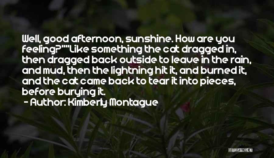 Kimberly Montague Quotes 985663