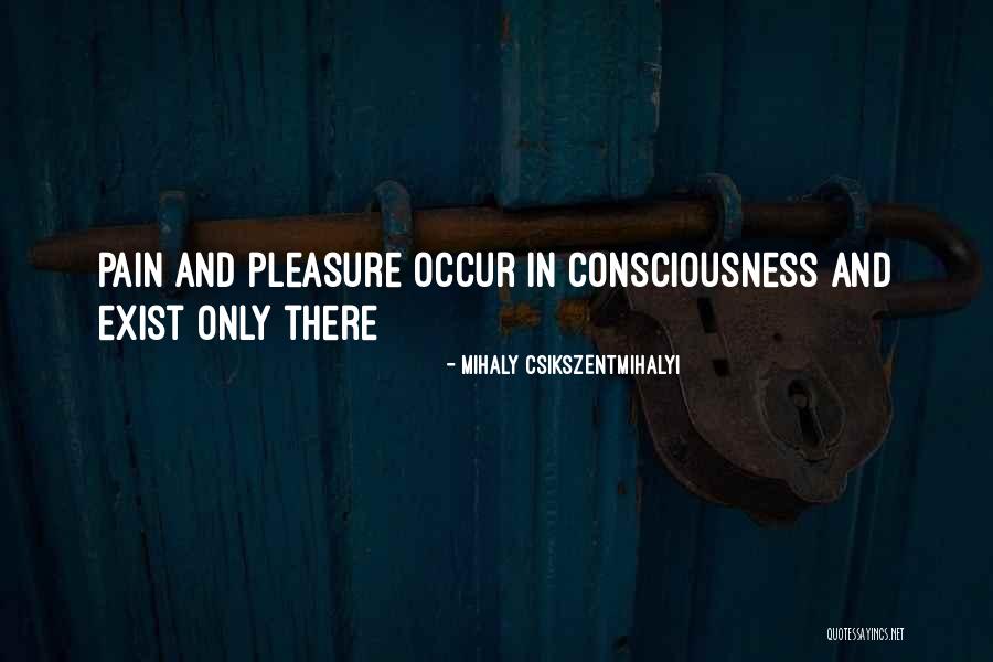 Kimbo Fights Quotes By Mihaly Csikszentmihalyi Kimbo Fights Quotes By Mihaly Csikszentmihalyi