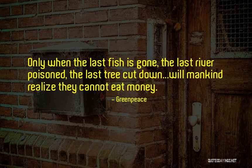 Kimiko Date Quotes By Greenpeace Kimiko Date Quotes By Greenpeace