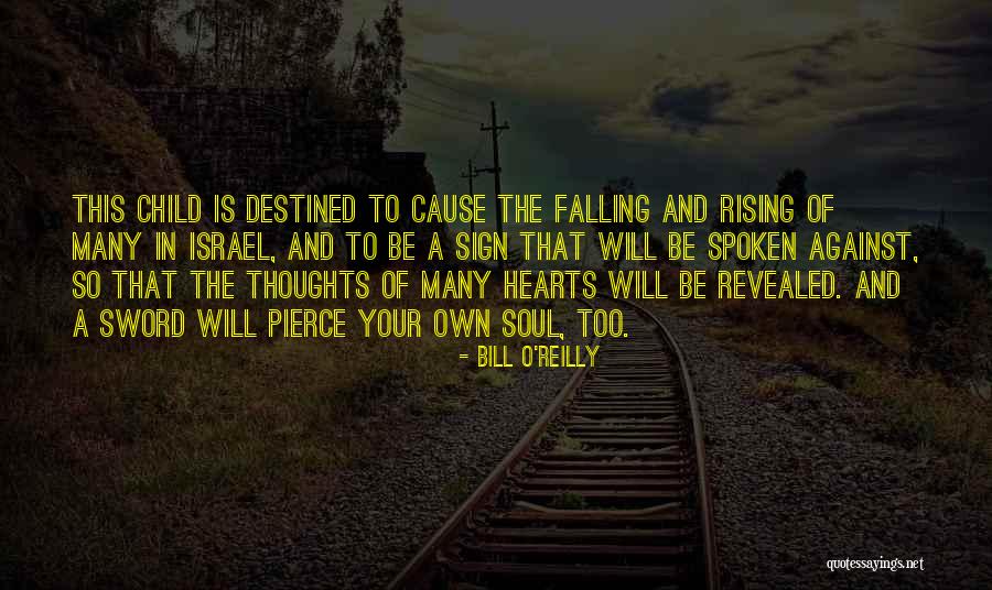Kimla Cnc Quotes By Bill O'Reilly Kimla Cnc Quotes By Bill O'Reilly