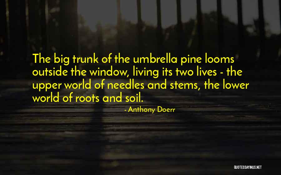 Kimrey Kotchick Quotes By Anthony Doerr Kimrey Kotchick Quotes By Anthony Doerr
