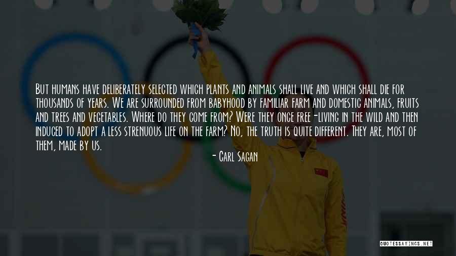 Kimtara Calculadora Quotes By Carl Sagan Kimtara Calculadora Quotes By Carl Sagan