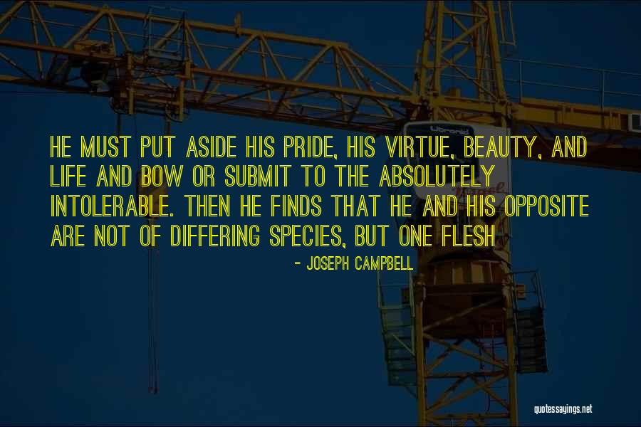 Kimtara Calculadora Quotes By Joseph Campbell Kimtara Calculadora Quotes By Joseph Campbell