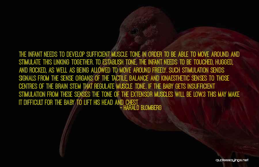 Kinaesthetic Quotes By Harald Blomberg Kinaesthetic Quotes By Harald Blomberg