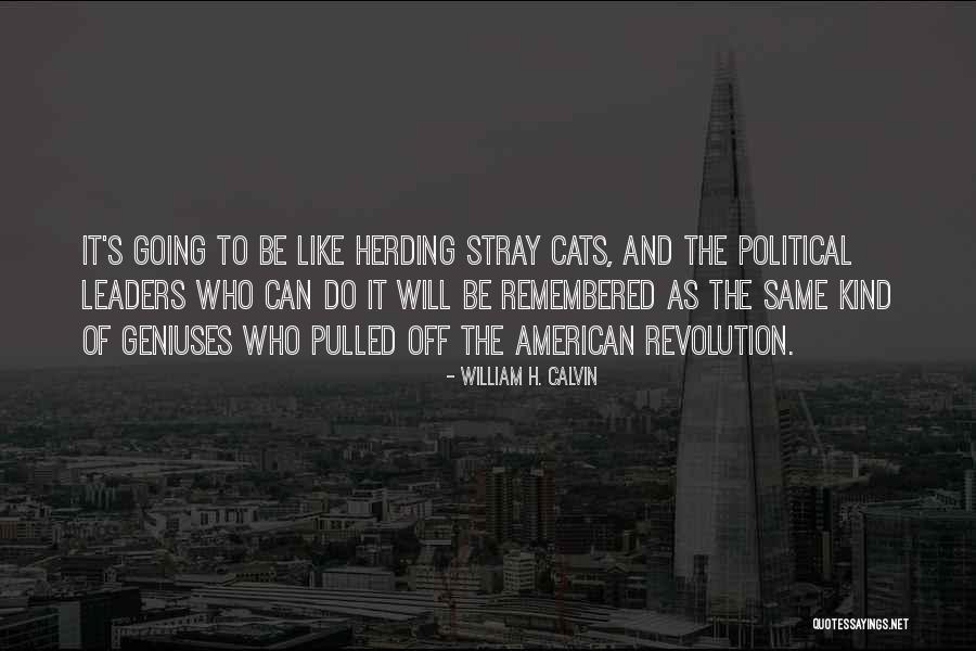 Kind Leaders Quotes By William H. Calvin Kind Leaders Quotes By William H. Calvin
