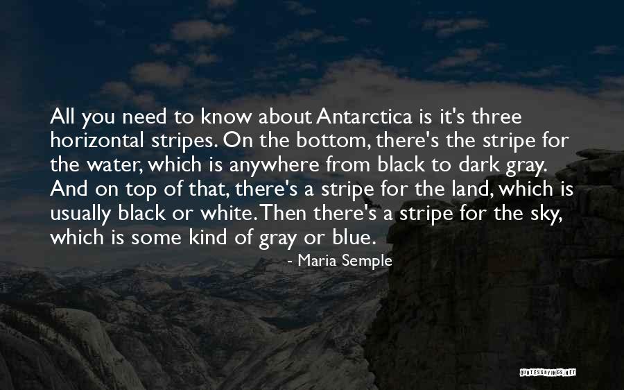 Kind Of Blue Quotes By Maria Semple