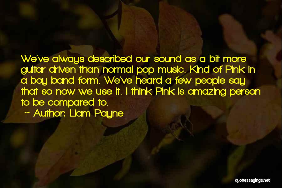 Kind Of Person Quotes By Liam Payne