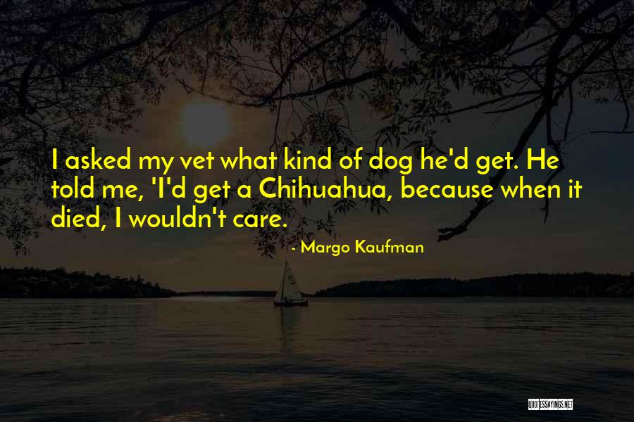 Kind Vet Quotes By Margo Kaufman Kind Vet Quotes By Margo Kaufman