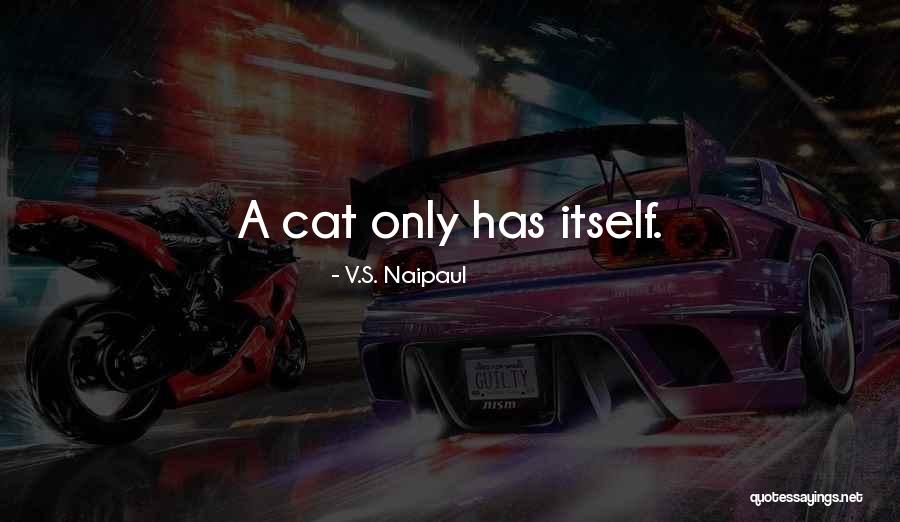 Kindelan Quotes By V.S. Naipaul Kindelan Quotes By V.S. Naipaul