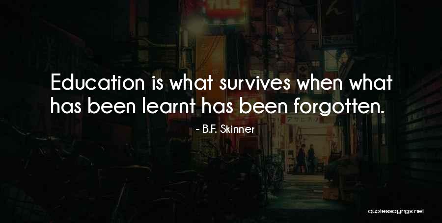 Kinderland Indoor Quotes By B.F. Skinner Kinderland Indoor Quotes By B.F. Skinner